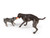 Rumpus Rubber Dog Toy Rumpus Rubber Dog Toy