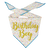 Birthday Boy Bandana - Small Birthday Boy Bandana - Small