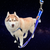 Wonder Walker Reflective Leash Wonder Walker Reflective Leash
