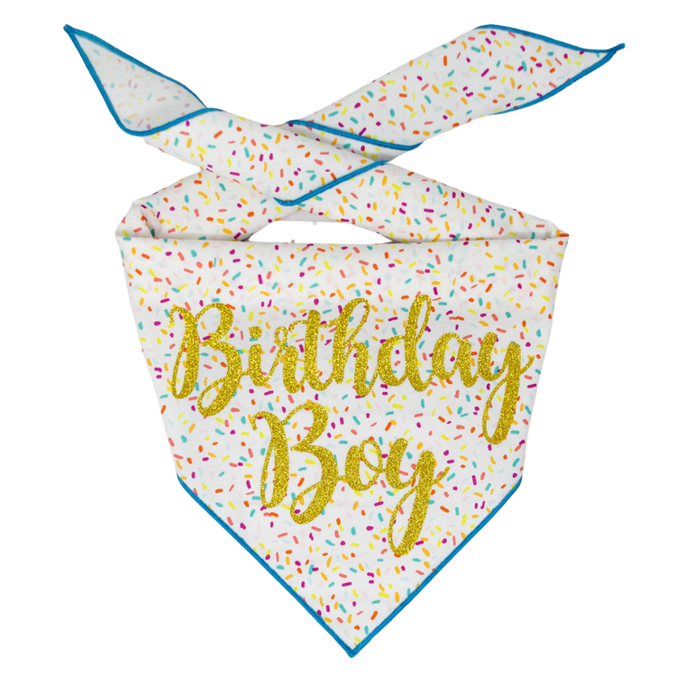 Birthday Boy Bandana - Small