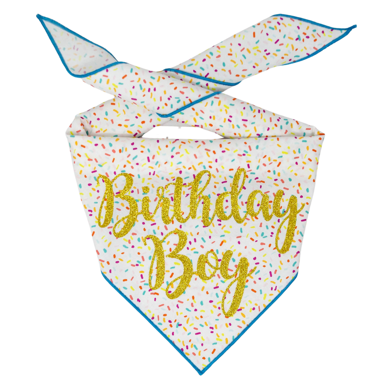 Birthday Boy Bandana - Large