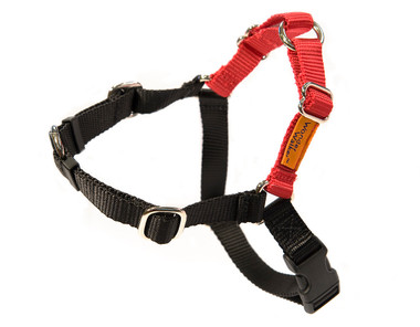 Wonder Walker No-Pull Harness Dog Shop Dog Harnesses