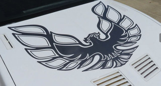 Inspired by 1973 - 1977 Trans Am Looping style hood birds!