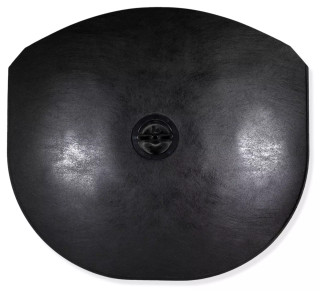  2010-2015 Camaro SS ZL1 1LE Spare Tire Air Pump Compressor Trunk Battery Cover