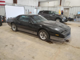 1983 Firebird Trans Am 5.0 V8 Carb 5 Speed 70K Miles - Hawks Third