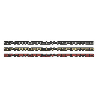 1982–1992 Camaro Rear Bumper Emblem – 6.0 NATURALLY ASPIRATED (LS