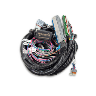 Gen III Drive By Wire 4L80E Standalone LS Swap Harness w/ Multec Injectors — H355