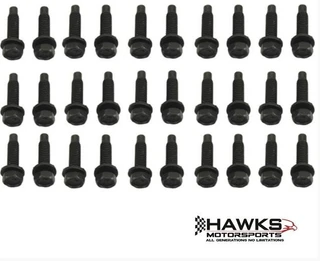Complete car set 30 pc CORRECT replacement door hinge bolt kit.