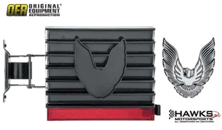 1981 Trans Am smoked fuel door with silver bird inlay and red lower reflector