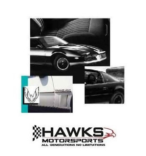 1982 Pontiac Firebird Trans Am Exterior Decal and Premolded Body Stripe Kit, Phoenix Graphix 