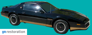 1982-1983 Trans Am Lower Body Pre-Molded Striping ONLY