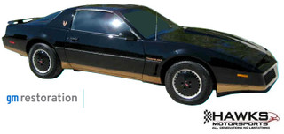 1982-1983 Pontiac Firebird Trans Am Lower-Body Premolded Stripe Kit Only, Phoenix Graphix 8283TASTP