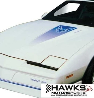 1984 Trans Am 15th Anniversary Hood Bird Only 