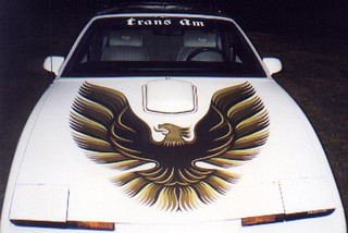 85-87 Firebird Hood Bird (79-81 Style)