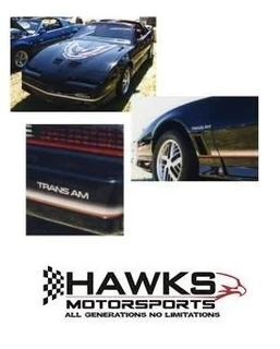 1985-86 Trans Am Decal and Stripe Kit (w/ SMALL hood bird) (8586TA-2)
