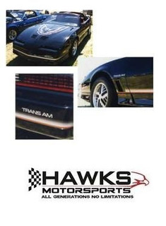 1985-1986 Pontiac Firebird Trans Am Lower-Body Square-Dot Fade and Accent Stripe Kit Only, Phoenix Graphix 8586TA-4