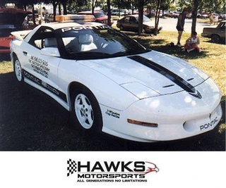 1994 Pontiac Firebird Trans Am 25th Anniversary Blue Decal and Stripe Kit, Phoenix Graphix 1994TA 
