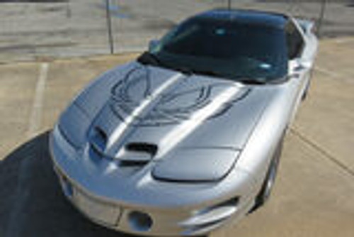 1998-02 Trans Am 80's Style Hood Bird, Screaming Chicken