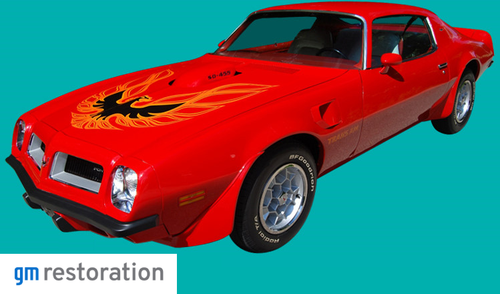 Phoenix Graphix 1973-1977 Looping Style Trans Am Decal Kit- NO HOOD BIRD