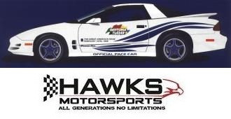 1999 Pontiac Firebird Trans Am 30th Anniversary Daytona 500 Pace Car Door and Feather Decal Kit, Phoenix Graphix 1999DD