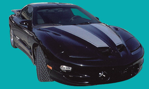 98-02 Firebird Firehawk Stripe and Decal Kit