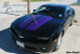 2010-2013 Camaro Rally Stripes, Screaming Chicken
