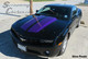 2010-2013 Camaro Rally Stripes, Screaming Chicken
