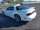 1997 Firebird Trans Am LT1 6-Speed 193K Miles