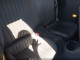 1999 Firebird Trans Am LS1 Automatic 34K Miles