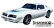 1973 - 1977 Looping Style Trans Am Decal Kit