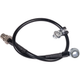 1982-1992 Camaro Firebird Front Stainless Brake Lines, For Big Brake Swaps, Hawks Motorsports (HM8292BBUKIT-LINES