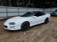 1999 Camaro Z28 LS1 Automatic 33K Miles