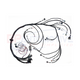 Gen IV E67 LSA/LS9 Standalone Harness H450
