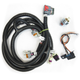 1994–1997 Camaro/Firebird 24x Link PCM With C3 Harness, Torqhead (4GTHTC3H) Hawks Motorsports 2