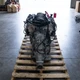1999 Formula 5.7L LS1 Engine & 4L60E Automatic Transmission Drop Out 102K Miles (#X2218016