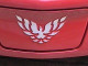 98-02 Trans Am Front Bumper Bird Decal