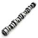 TSP Stage 3 LS3 N/A Camshaft