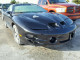 1999 Pontiac Trans Am Firehawk LS1 V8 Automatic