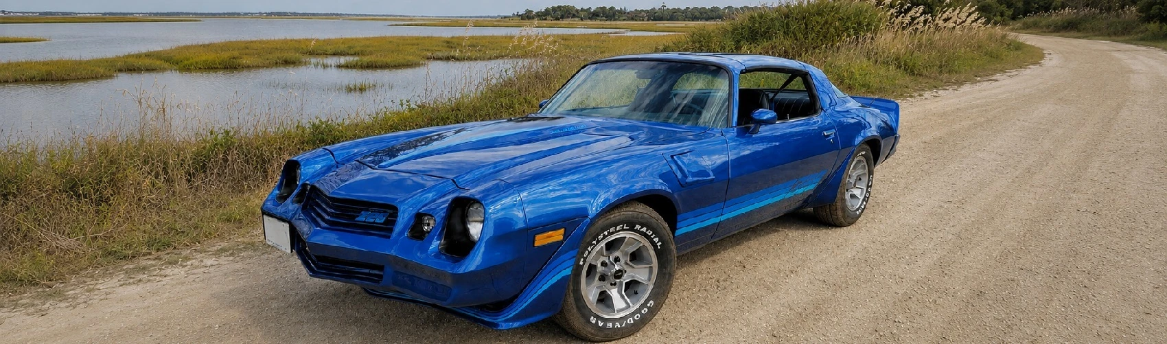 1970-1981-Camaro Decal kits & Emblems Hawks Motorsports