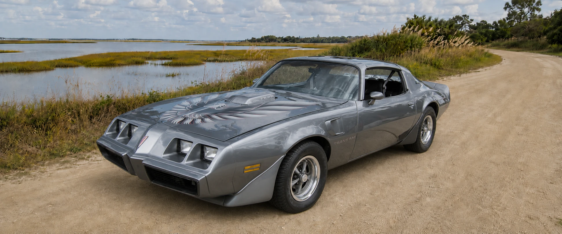 Decal Kits and Emblems 1970-1981 Firebird Trans Am Hawks Motorsports