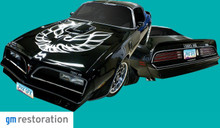 1978 Trans Am SE Black & Gold Special Edition Decal Kit