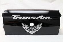 93-2002 Trans Am CETA Rear Tail Light Center Filler Panel w/ Silver ...