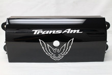 93-02 Trans Am WS6 Rear Tail Light Center Filler Panel w/ White Bird ...