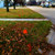 Utility Line Marking Flags