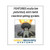 In Street (School) Pedestrian Crosswalk Sign on Quarter Turn Mounting Style Post