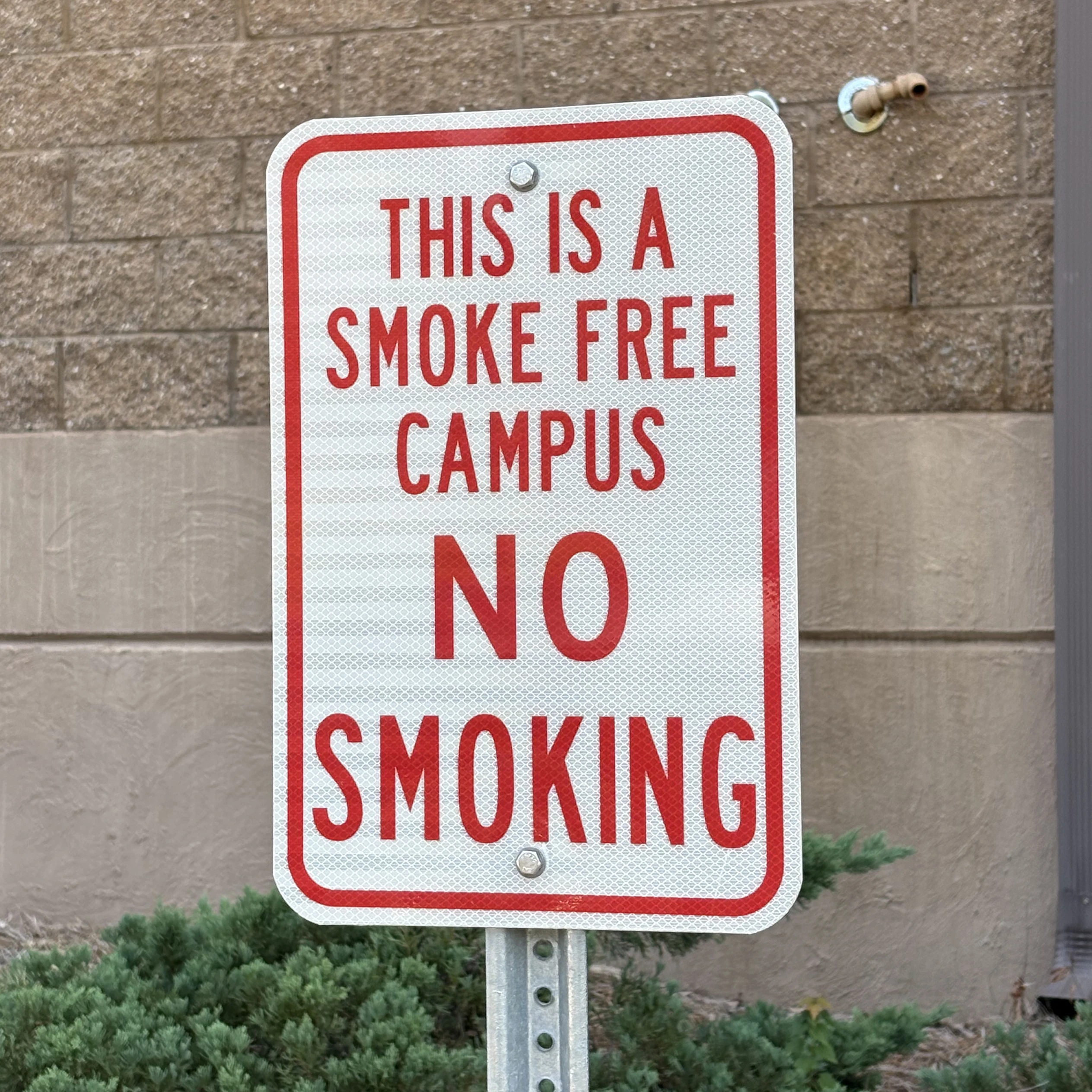 <p>Custom Smoke Free</p>