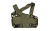 HALEY STRATEGIC D3CR HEAVY CHEST RIG, RNGR GRN, D3CRH-1-1-RG