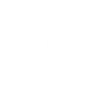 Colt's Manufacturing