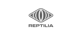 Reptilia