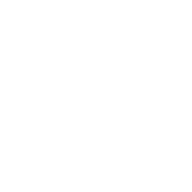 Battle Arms Development